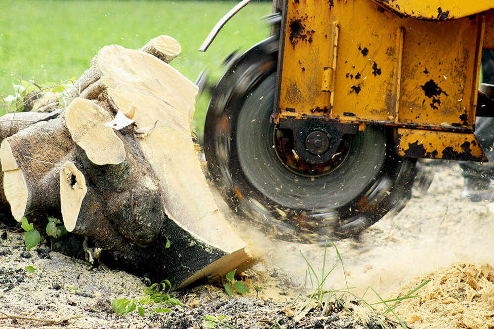 a machine stump grinding a tree trunk