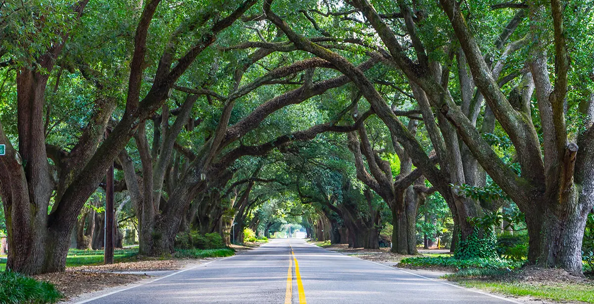 Aiken, South Carolina