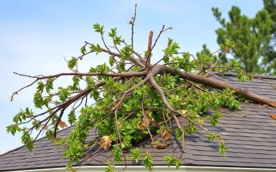 Storm Damage Roof Repair in the Lowcountry: What Insurance Actually Covers